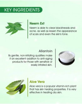 L'avenour Aloe Vera Gel for Face, Body & Hair with Pure Aloe Vera, Vitamin C, E, Allantoin & Neem Extract 100ml - (Pack of 3)